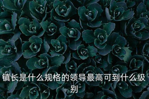 鎮(zhèn)長是什么規(guī)格的領(lǐng)導最高可到什么級別