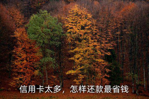 信用卡太多，怎樣還款最省錢