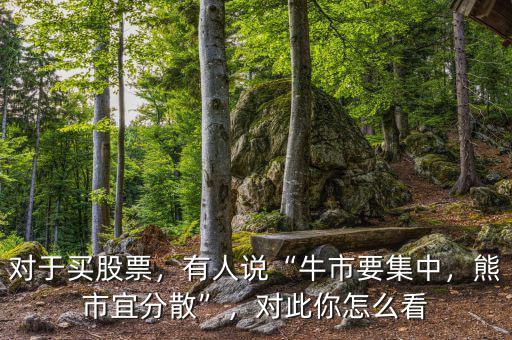對(duì)于買股票，有人說“牛市要集中，熊市宜分散”，對(duì)此你怎么看