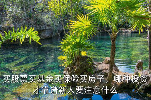 買股票買基金買保險(xiǎn)買房子，哪種投資才靠譜新人要注意什么