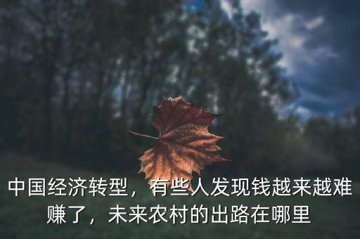中國(guó)經(jīng)濟(jì)轉(zhuǎn)型，有些人發(fā)現(xiàn)錢(qián)越來(lái)越難賺了，未來(lái)農(nóng)村的出路在哪里