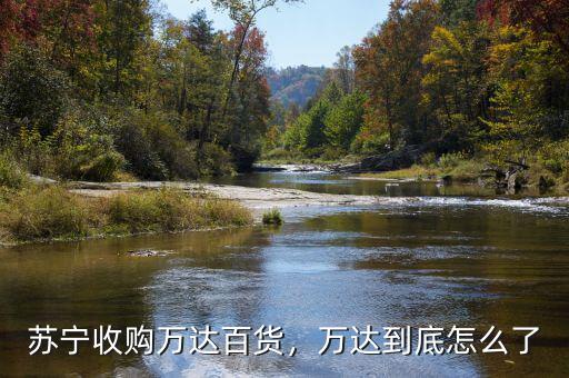 蘇寧收購萬達(dá)百貨，萬達(dá)到底怎么了