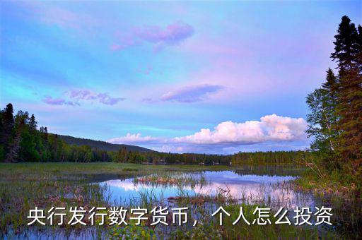 央行發(fā)行數字貨幣，個人怎么投資