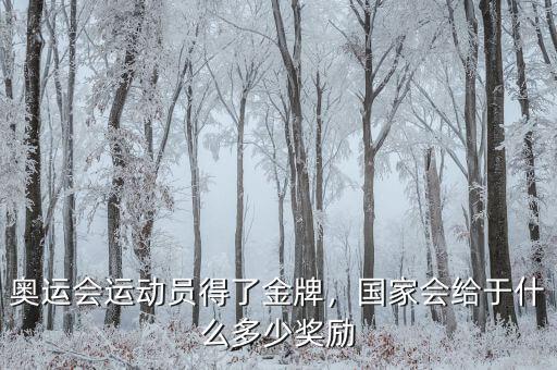 奧運(yùn)會運(yùn)動員得了金牌，國家會給于什么多少獎勵