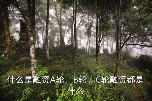 什么是融資A輪、B輪、C輪融資都是什么