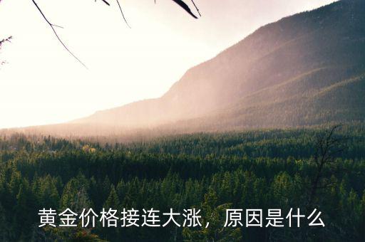 黃金價(jià)格接連大漲，原因是什么