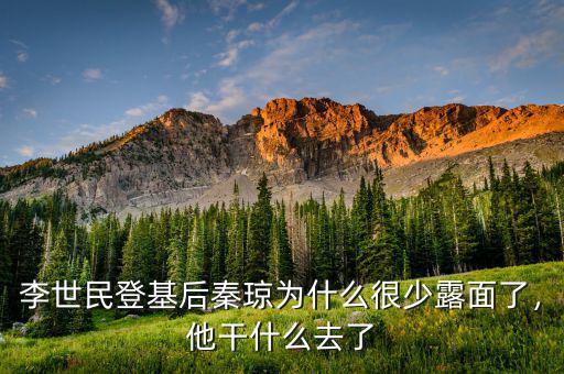 李世民登基后秦瓊為什么很少露面了，他干什么去了