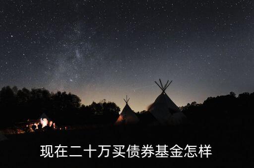 現在買純債債券基金怎么樣,現在二十萬買債券基金怎樣