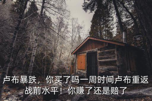 盧布暴跌，你買了嗎一周時間盧布重返戰(zhàn)前水平！你賺了還是賠了