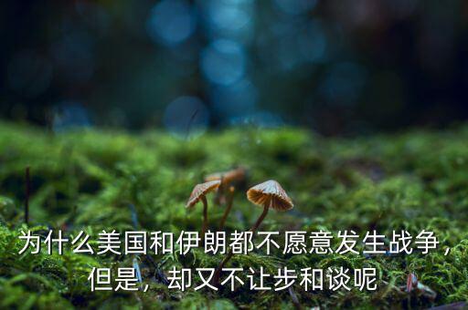 為什么美國(guó)和伊朗都不愿意發(fā)生戰(zhàn)爭(zhēng)，但是，卻又不讓步和談呢