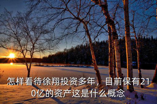 怎樣看待徐翔投資多年，目前保有210億的資產(chǎn)這是什么概念