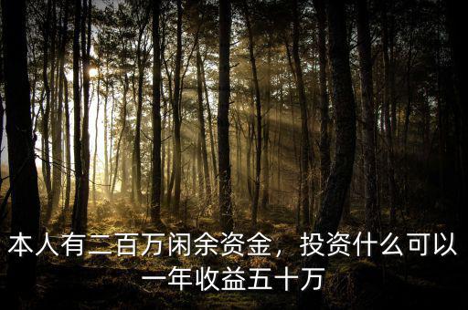 本人有二百萬閑余資金，投資什么可以一年收益五十萬