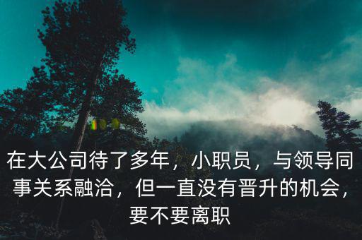在大公司待了多年，小職員，與領導同事關系融洽，但一直沒有晉升的機會，要不要離職