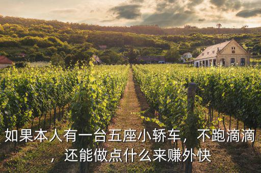 如果本人有一臺五座小轎車，不跑滴滴，還能做點什么來賺外快