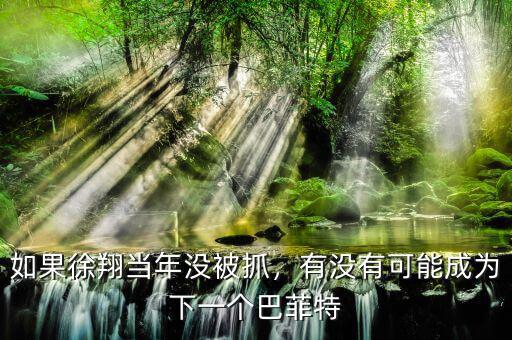 如果徐翔當年沒被抓，有沒有可能成為下一個巴菲特