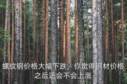 螺紋鋼價(jià)格大幅下跌，你覺得鋼材價(jià)格之后還會(huì)不會(huì)上漲