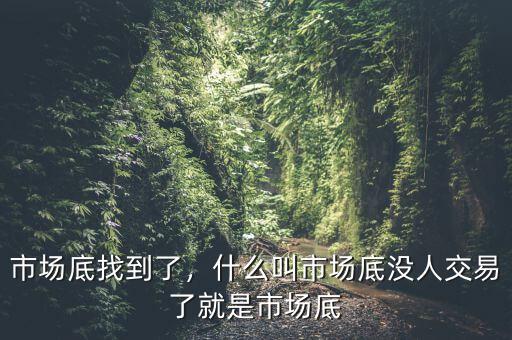 市場底找到了，什么叫市場底沒人交易了就是市場底
