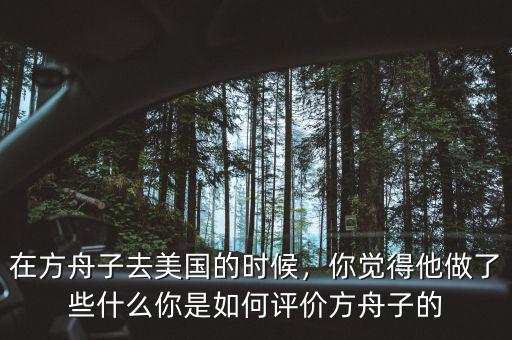 在方舟子去美國的時候，你覺得他做了些什么你是如何評價方舟子的
