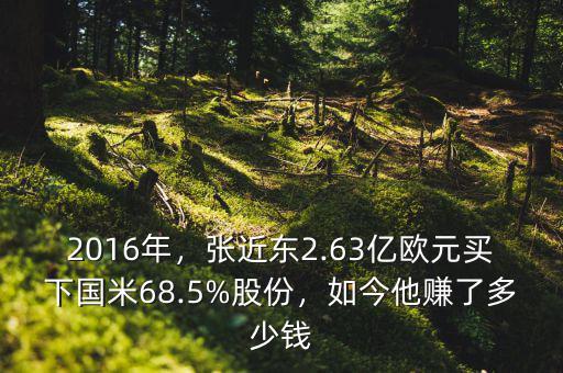 2016年，張近東2.63億歐元買下國米68.5%股份，如今他賺了多少錢