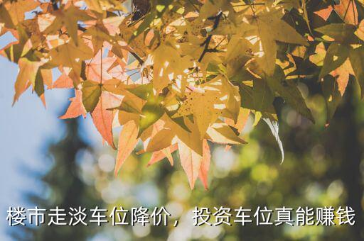 樓市走淡車位降價(jià)，投資車位真能賺錢