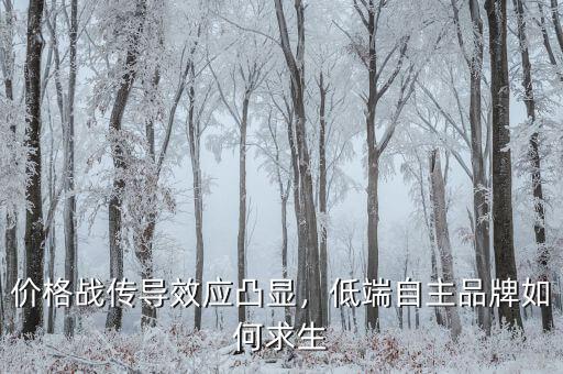價(jià)格戰(zhàn)傳導(dǎo)效應(yīng)凸顯，低端自主品牌如何求生