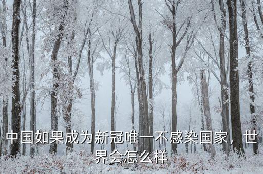 中國如果成為新冠唯一不感染國家，世界會怎么樣