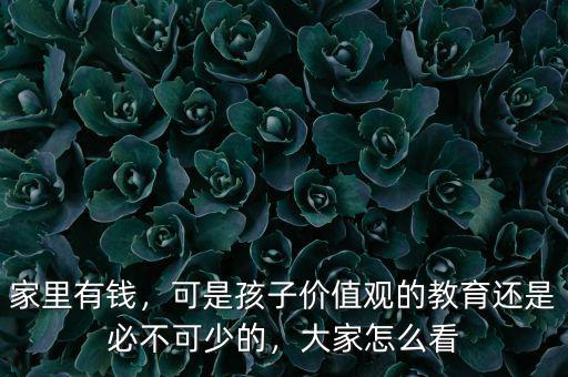 家里有錢，可是孩子價(jià)值觀的教育還是必不可少的，大家怎么看
