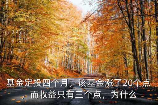 基金定投四個月，該基金漲了20個點，而收益只有三個點，為什么