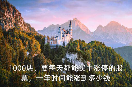 1000塊，要每天都能買中漲停的股票，一年時間能漲到多少錢