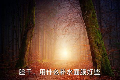 臉干，用什么補(bǔ)水面膜好些