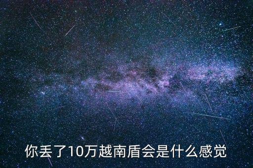 10萬(wàn)人民幣是多少越南盾,10萬(wàn)人民幣在越南多少錢