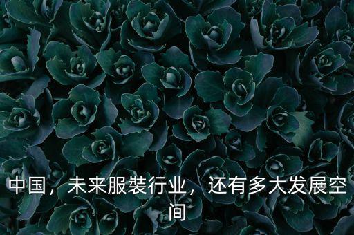 中國，未來服裝行業(yè)，還有多大發(fā)展空間