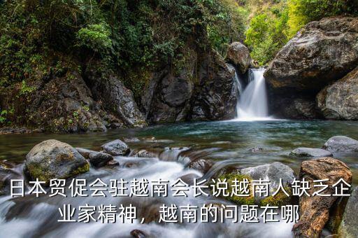 日本貿(mào)促會(huì)駐越南會(huì)長(zhǎng)說(shuō)越南人缺乏企業(yè)家精神，越南的問題在哪