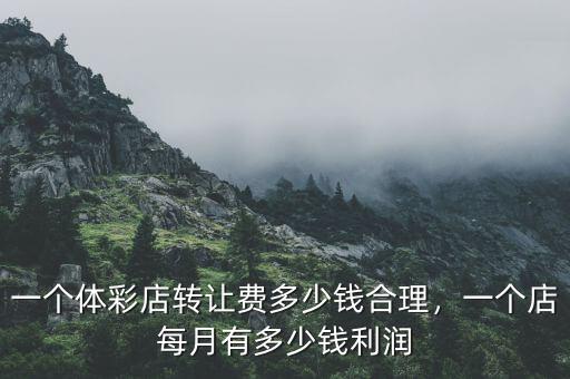 一個(gè)體彩店轉(zhuǎn)讓費(fèi)多少錢合理，一個(gè)店每月有多少錢利潤