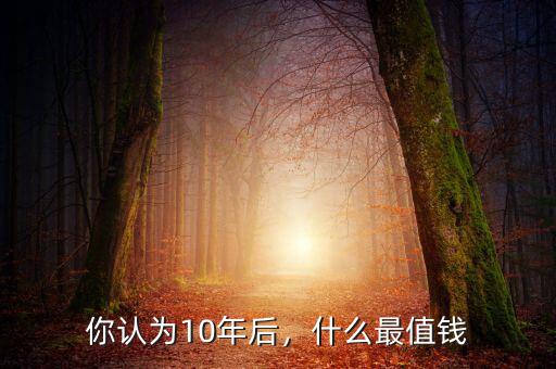 你認(rèn)為10年后，什么最值錢