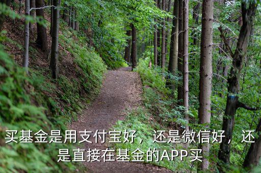 買(mǎi)基金是用支付寶好，還是微信好，還是直接在基金的APP買(mǎi)