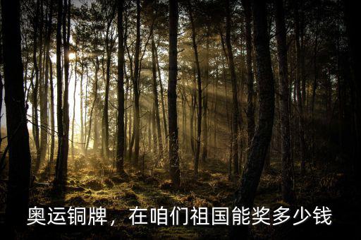 奧運(yùn)銅牌，在咱們祖國(guó)能獎(jiǎng)多少錢(qián)