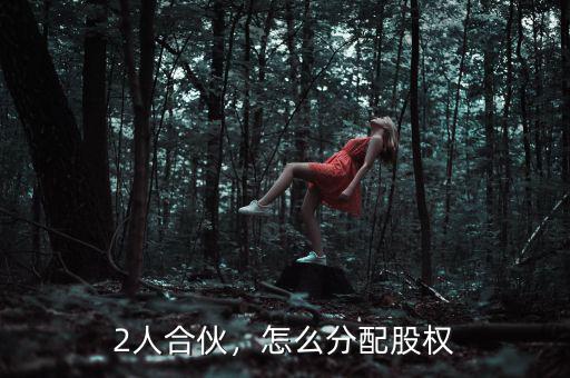2人合伙，怎么分配股權(quán)