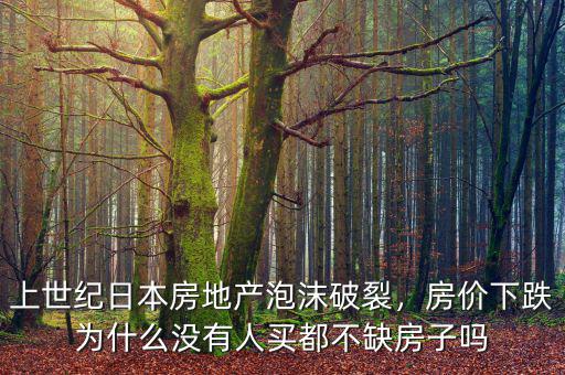 上世紀(jì)日本房地產(chǎn)泡沫破裂，房價下跌為什么沒有人買都不缺房子嗎