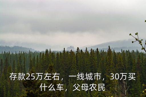 存款25萬左右，一線城市，30萬買什么車，父母農(nóng)民