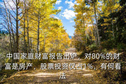 中國(guó)家庭財(cái)富報(bào)告出爐，對(duì)80%的財(cái)富是房產(chǎn)，股票投資僅占1%，有何看法