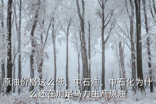 原油價格這么低，中石油、中石化為什么還在加足馬力生產原油