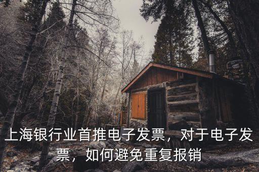 上海銀行業(yè)首推電子發(fā)票，對(duì)于電子發(fā)票，如何避免重復(fù)報(bào)銷
