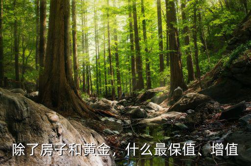 除了房子和黃金，什么最保值、增值