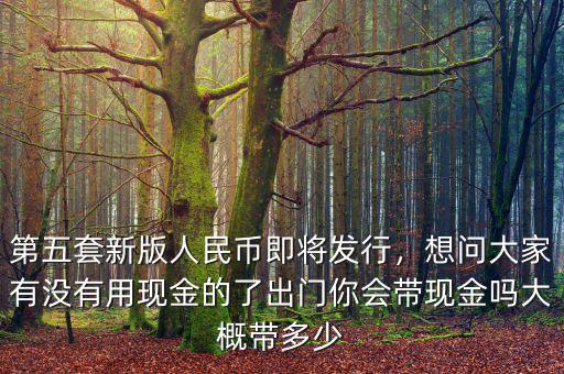 第五套新版人民幣即將發(fā)行，想問大家有沒有用現(xiàn)金的了出門你會(huì)帶現(xiàn)金嗎大概帶多少