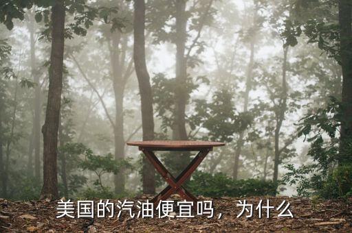 美國的汽油便宜嗎，為什么