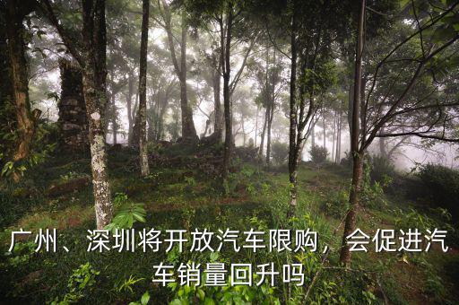 廣州、深圳將開放汽車限購，會促進汽車銷量回升嗎