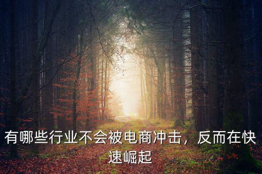 有哪些行業(yè)不會被電商沖擊，反而在快速崛起