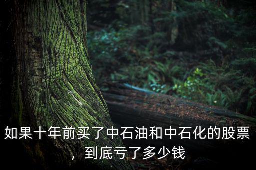 如果十年前買了中石油和中石化的股票，到底虧了多少錢