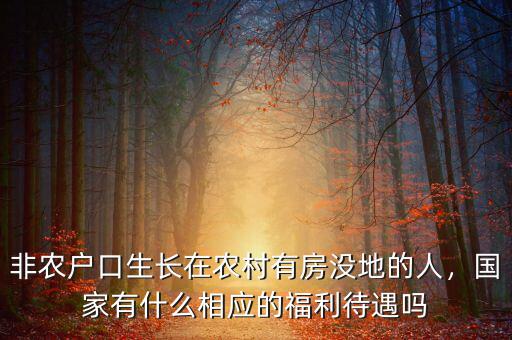 非農(nóng)戶口生長在農(nóng)村有房沒地的人，國家有什么相應(yīng)的福利待遇嗎